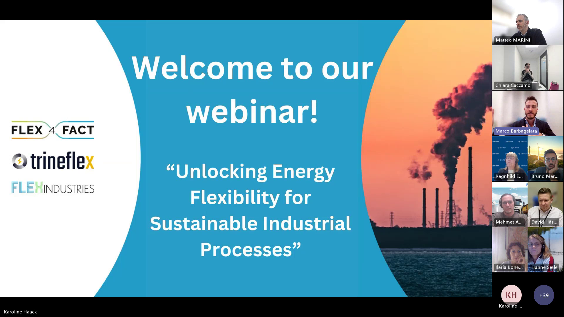 Unlocking Energy Flexibility for Sustainable Industrial Processes